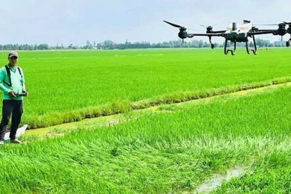 Những hoạt chất thuốc bảo vệ thực vật sắp bị cấm sử dụng tại Việt Nam?