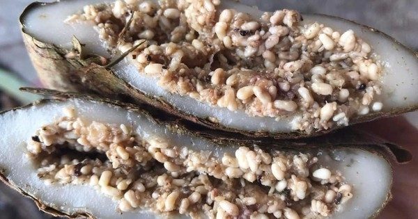 "Thủ phạm" gây dị ứng trong món bánh trứng kiến độc đáo?